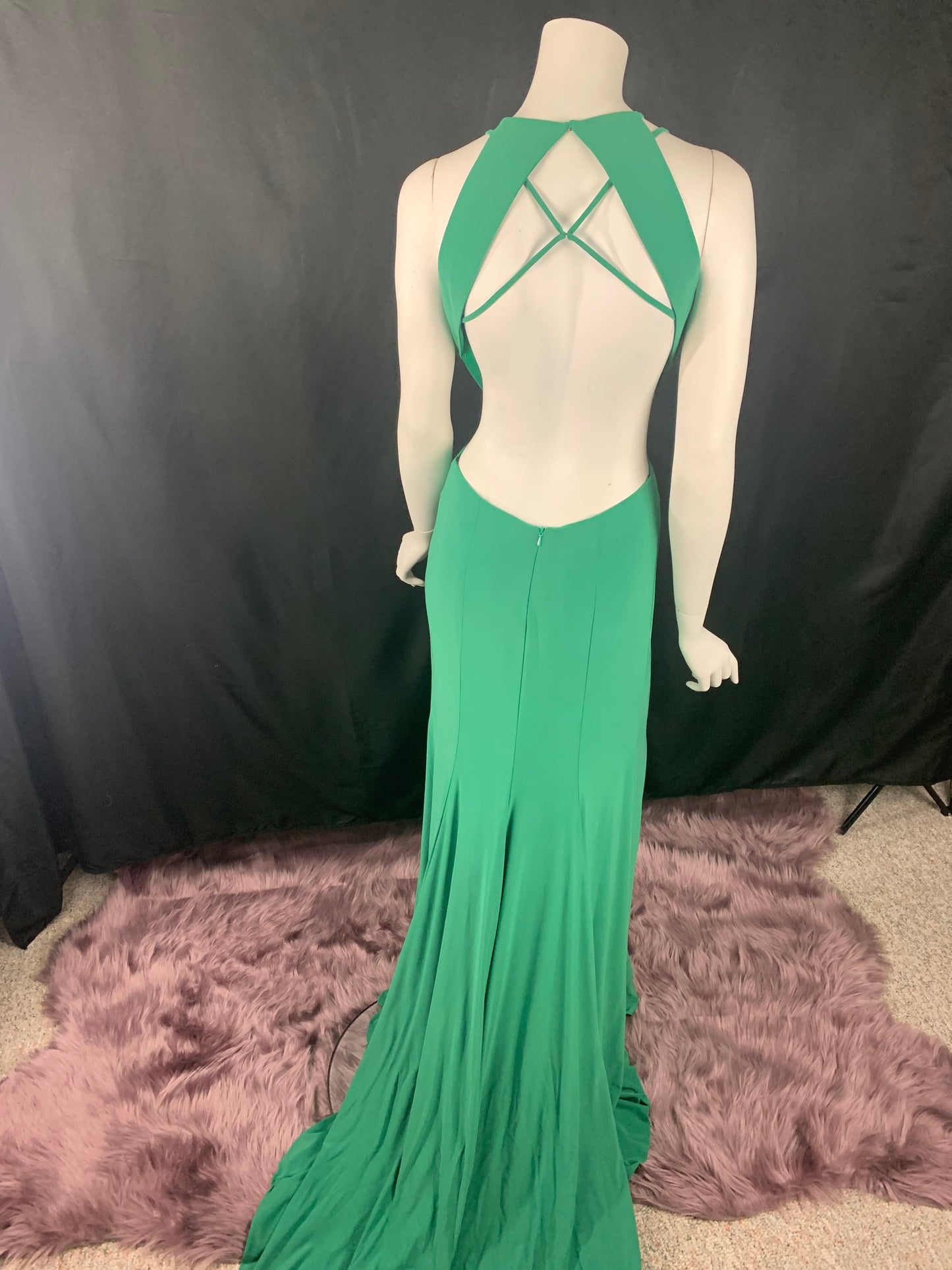 The Shy Gown